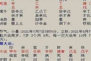 生辰八字起名免费取名改名(生辰八字起名免费取名)