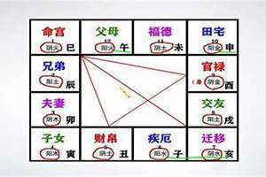 紫微斗数入门基础知识排盘2 紫微斗数入门基础知识书籍在线阅读