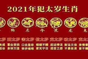 今年犯太岁的生肖2024有哪些属相(今年犯太岁)