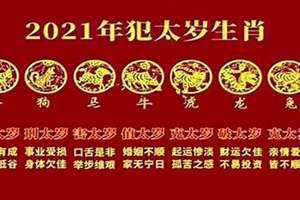 今年犯太岁生肖哪几个(今年犯太岁生肖)