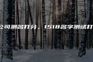 1518公司测名打分测试怎么样 1518公司测名打分免费官网