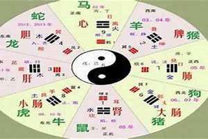 金字五行属什么(人字五行属什么)