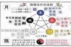 五行分析查询免费 五行分析软件