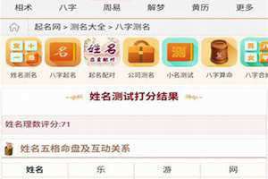 免费起名打分100分(免费起名打分)