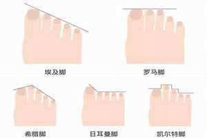 脚相图解大全脚趾的长短(脚相图解大全)