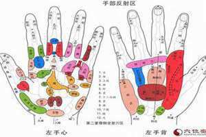 手指上经络位置图 手指上各个部位的名称