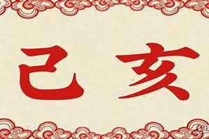 己亥年是指哪一年 己亥日柱