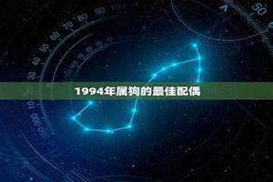 1993年属鸡的最佳配偶 1997年属牛的最佳配偶