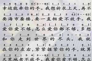 怎么爱都不够dj 怎么爱都不够老奶奶
