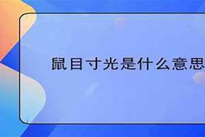 鼠目寸光是什么意思、十二生肖里面哪个是 鼠目寸光是什么意思,猜个数字是几?