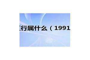 1991年多大了2024 1991年多大了属什么生肖