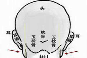 脑后见腮的面相(脑后见腮)