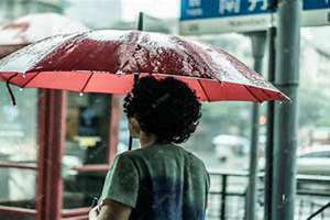 打雨伞背影图片大全(打雨伞)