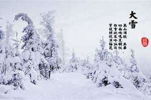 关于雪的谚语有哪些(关于雪的谚语)