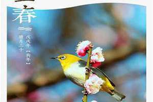 立春几点打春2024(立春几点打春)