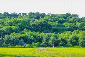 夏天雪花冰机多少钱一台 夏天雪糕