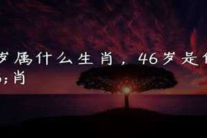 46岁属什么生肖2024年 46岁属什么生肖 今年多大了