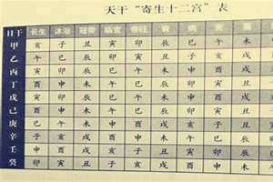 卜易居四柱八字免费排盘(四柱八字免费排盘)