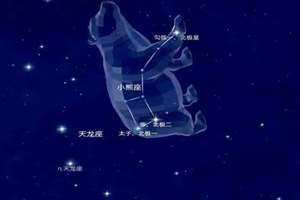 小熊星座能干嘛 小熊星座怎么兑换羽毛笔