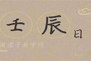 日干是什么意思(日干是什么)