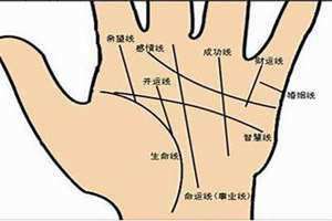 男生手相是看左手还是右手 男生手相三条线图解