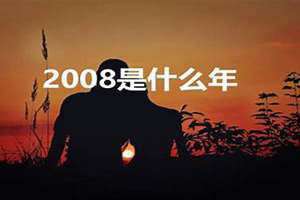 2008是什么年天干地支(2008是什么年)