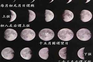 月半是什么时候把金灿灿送给卡卡的(月半是什么时候)