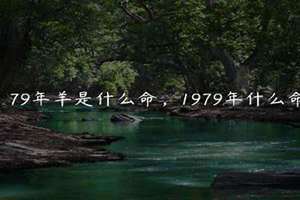 1979年什么命五行属性(1979年什么命)