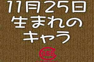 11月25日蛋炒蛋(11月25日)