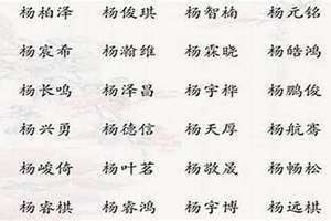 杨姓名字大全男孩2022(杨姓名字大全男孩)