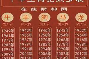 1992年是什么年生肖(1992年是什么年)