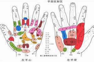 手上经络的准确位置图 人体手部经络的准确位置图