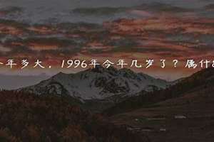 2028年96年今年几岁 96年今年几岁属什么