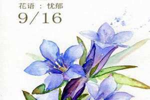 12月8号阴历是多少号(12月8号)