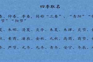 宝宝起小名大全男孩(宝宝起小名大全)