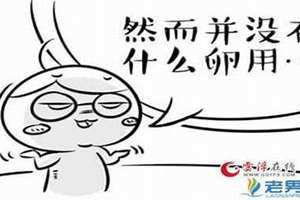 傻卵是什么意思啊搞笑 傻卵是哪里的方言