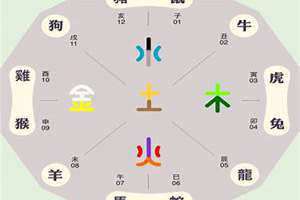 己五行属什么(巳五行属什么)