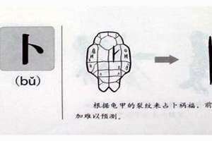 卜作为姓氏读pu还是bu卜 萝卜的卜作为姓氏读什么