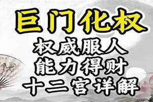 巨门化权入命宫 巨门化权入夫妻宫