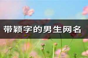 带颖字的网名霸气萌萌 带颖字的网名特殊网名