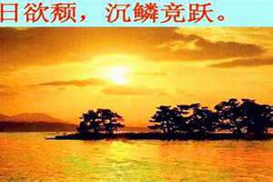 晨夕是什么意思和含义 乐于数晨夕是什么意思