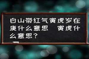 寅虎是什么意思是几点 卯兔是什么意思