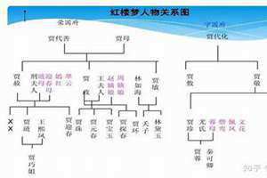 贾府关系图 一览表 红楼梦贾府关系图