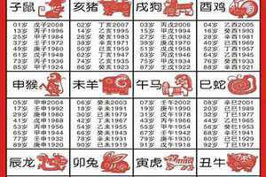 68年属什么生肖的是什么命(68年属什么生肖)