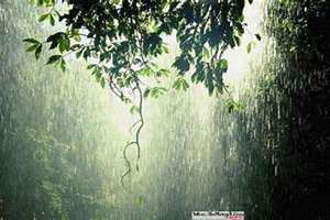 梦到淋雨是什么意思(梦到淋雨)