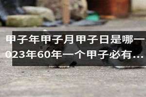 怎么算甲子日是哪一天(甲子日是哪一天)