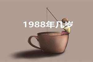88年多大了今年多大了2024 88年多大了今年多少周岁