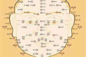 面相流年是虚岁还是周岁 面相流年部位图 清晰