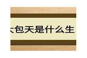 胆大包天是什么生肖准确的答案 吃雷公屙火闪胆大包天是什么生肖