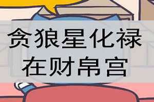 贪狼在财帛宫是什么意思 贪狼在财帛宫化权